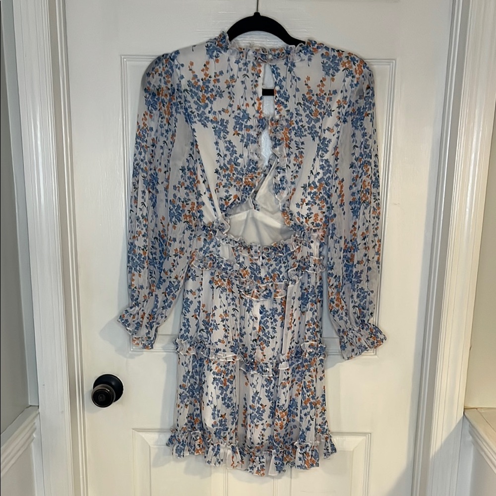 Floral V-Neck Ruffle Dress - Picture 2 of 2